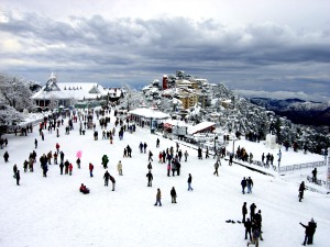 The ridge Shimla